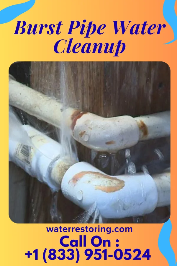 Burst Pipe Water Cleanup in Greensboro, AL