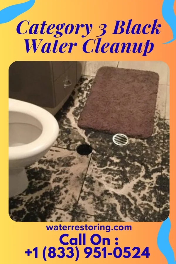 Category 3 Black Water Cleanup in Greensboro, AL